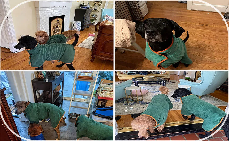 DogyDry | Absorbierende und trocknende Bademäntel für Hunde-Becker Boutique