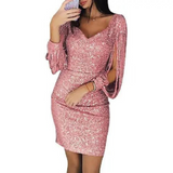 Glitter Evening Dress | Mini