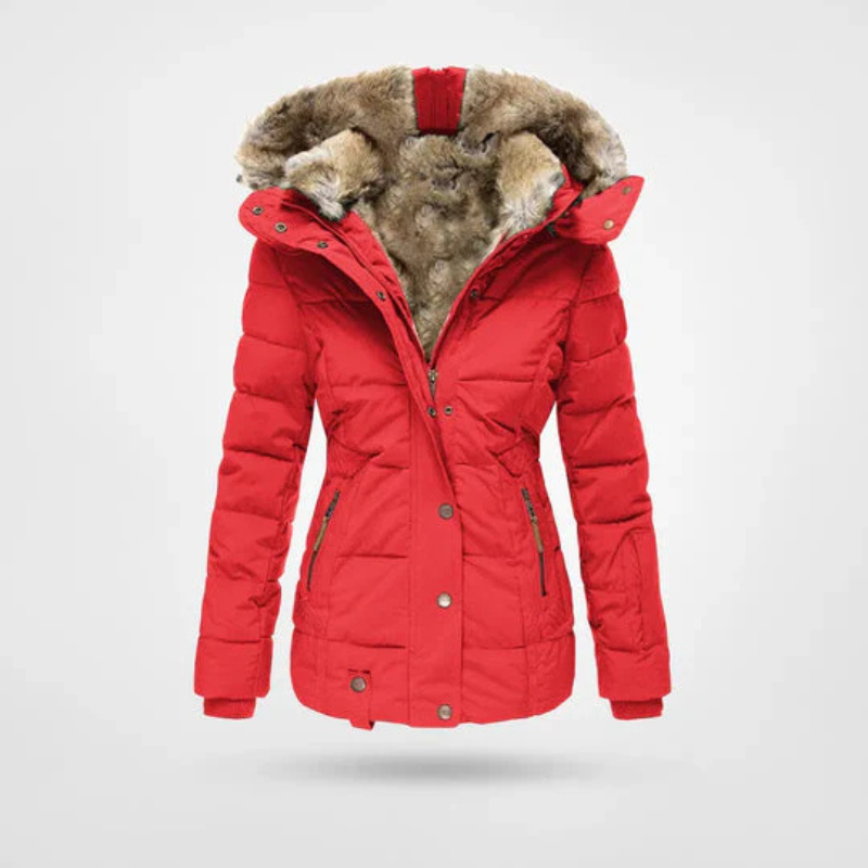Damen Winterjacke | Gefutterd mit Kapuze