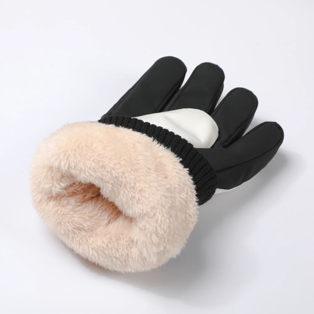 Ski Gloves | Thermal & Snow-Resistant