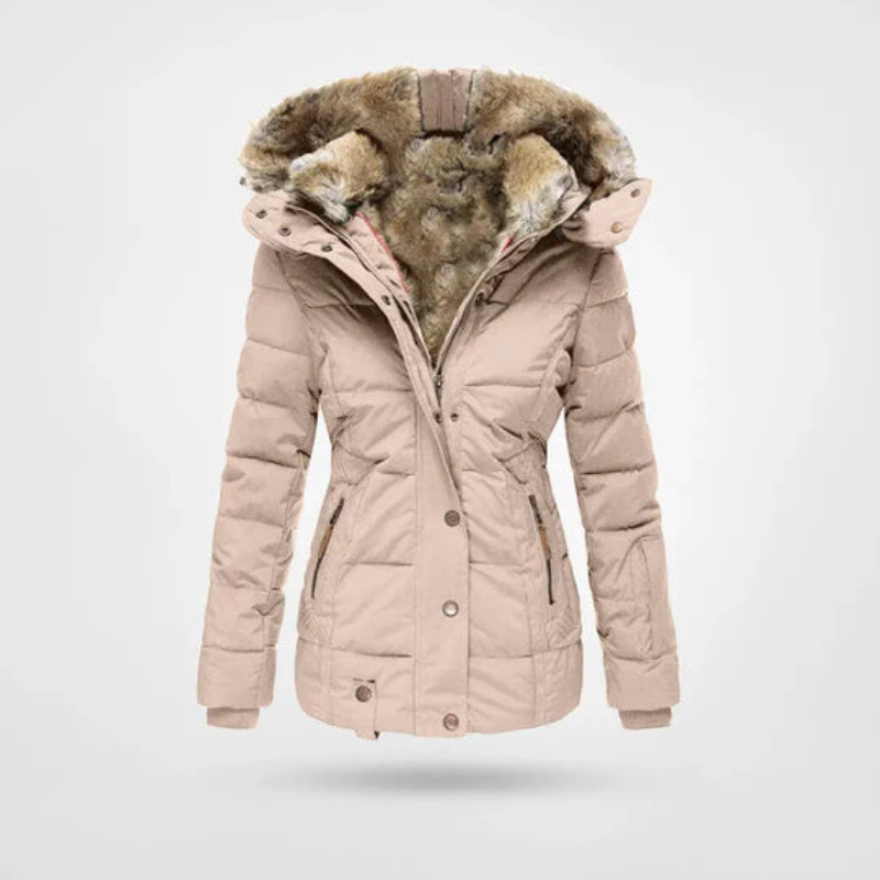 Damen Winterjacke | Gefutterd mit Kapuze