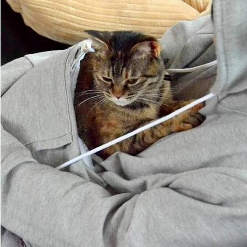 Women's Hoodie | Hooded Pullover | Cat Bag