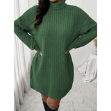 Women's winter knitted dress mini | With turtleneck