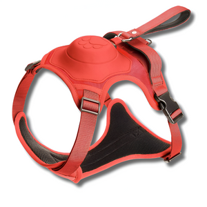 Doggybody | Aufrollbares Hundeleinengeschirr-Rot-M-Becker Boutique