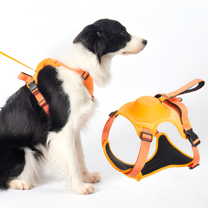 Doggybody | Aufrollbares Hundeleinengeschirr-Becker Boutique