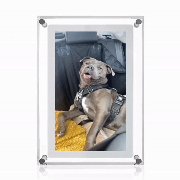 FrameIt | Digitaler Bilderrahmen-Becker Boutique