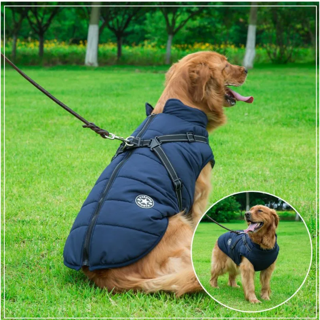 Helmut | Wasserdichte Jacke mit integriertem Klettergurt für Hunde-Becker Boutique