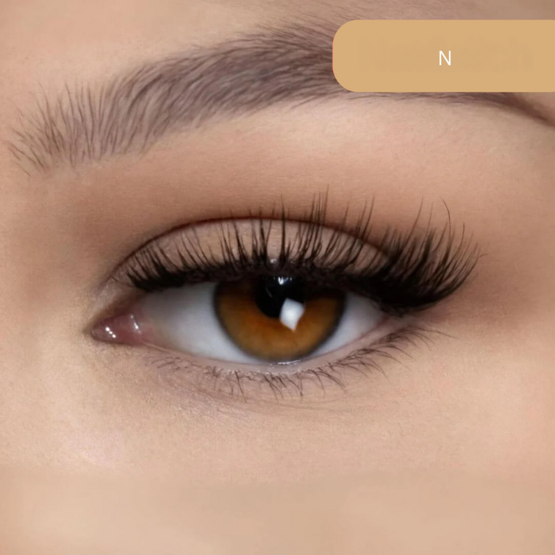 Magnetische Wimpern | Volle Wimpern ohne Kleber-Natürlich-Becker Boutique