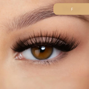 Magnetische Wimpern | Volle Wimpern ohne Kleber-Voller-Becker Boutique
