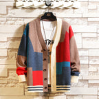 Herren Cardigan | Colourblock & V-Ausschnitt