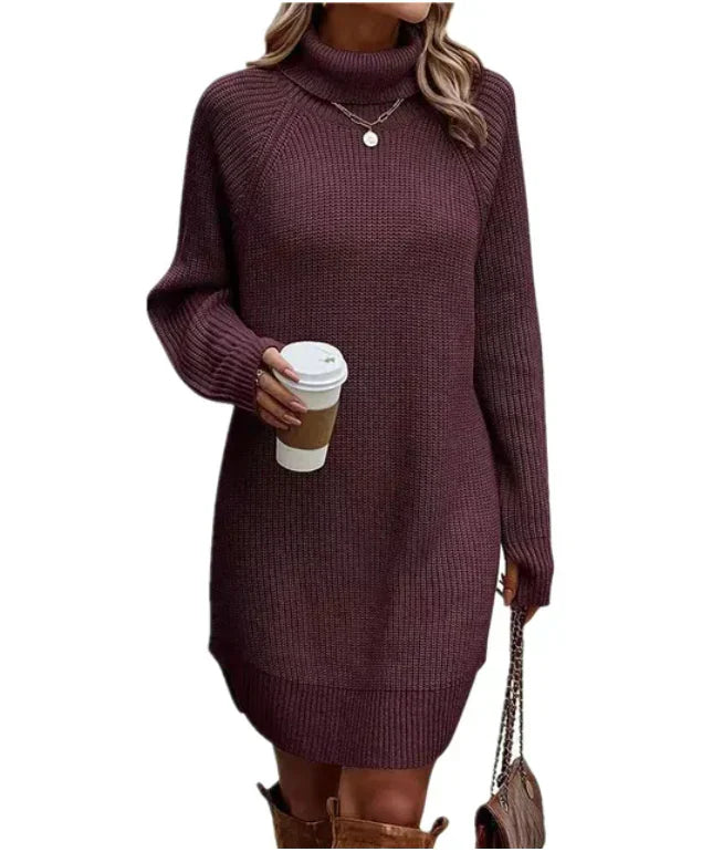 Damen Strickkleid | Rollkragen & Winter