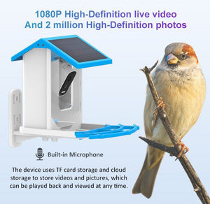 Smart Solar Vogelfutterhaus | Intelligent solarbetrieben-Becker Boutique