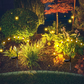 SolarGlow | LED Solar-Glühwürmchen Lichter für den Garten (6 LEDS)