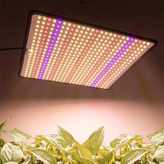 Pflanze Lampe | LED-Hortikultur-Lampe für Innenräume